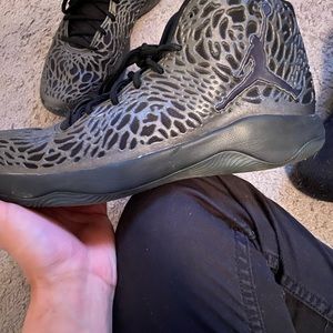 Jordan ultra fly metallic hematite